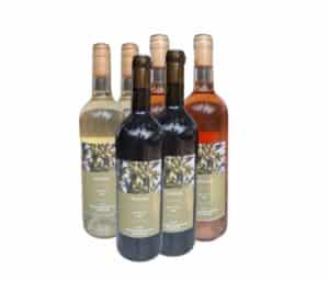 חבילת יינות פרמיום ישראליים הכוללת: 2 יין אדום יבש 2 יין לבן יבש 2 יין רוזה