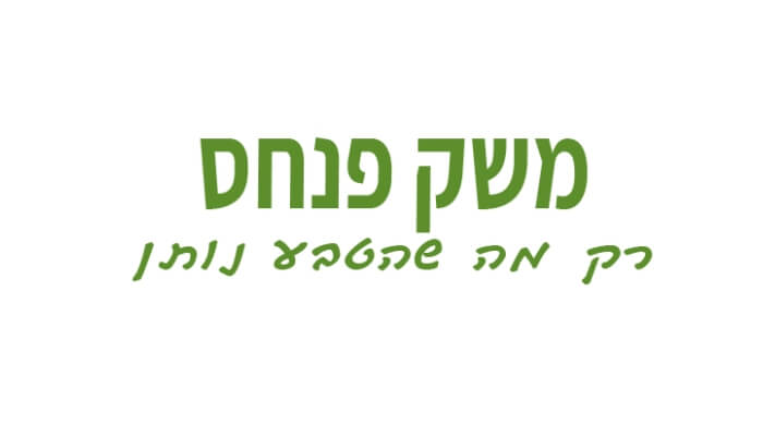 משק פנחס