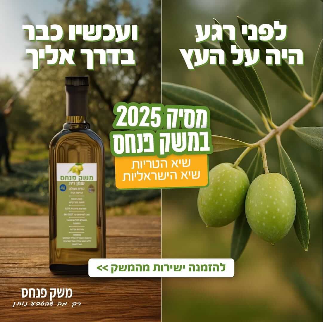 משק פנחס